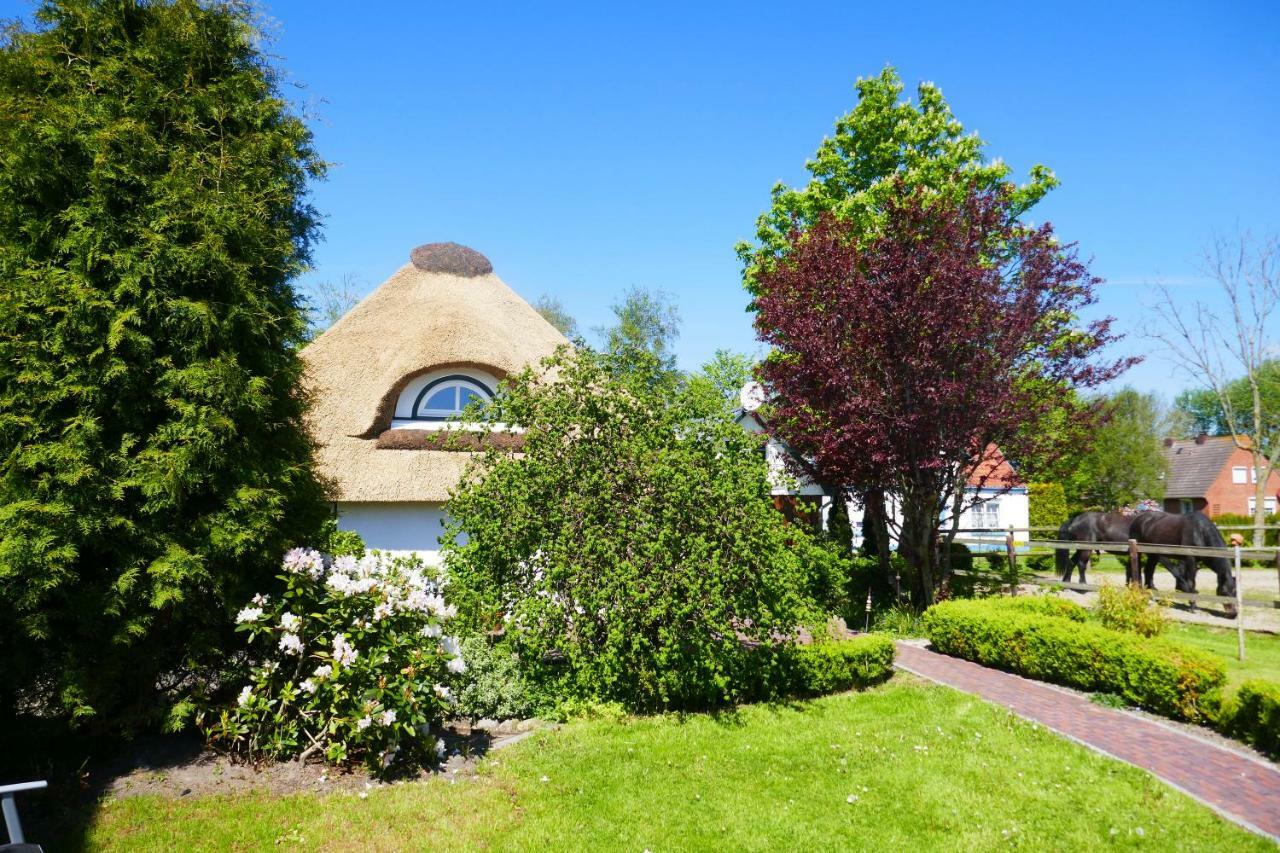 Refugium Im Nordseewind Norddeich (Dithmarschen) Exterior foto
